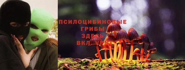 эйфоретик Нея