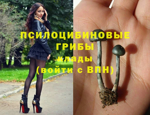 эйфоретик Нея