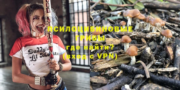 мдпв Анжеро-Судженск