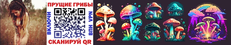это какой сайт mega рабочий сайт Коммунар Псилоцибиновые грибы Cubensis