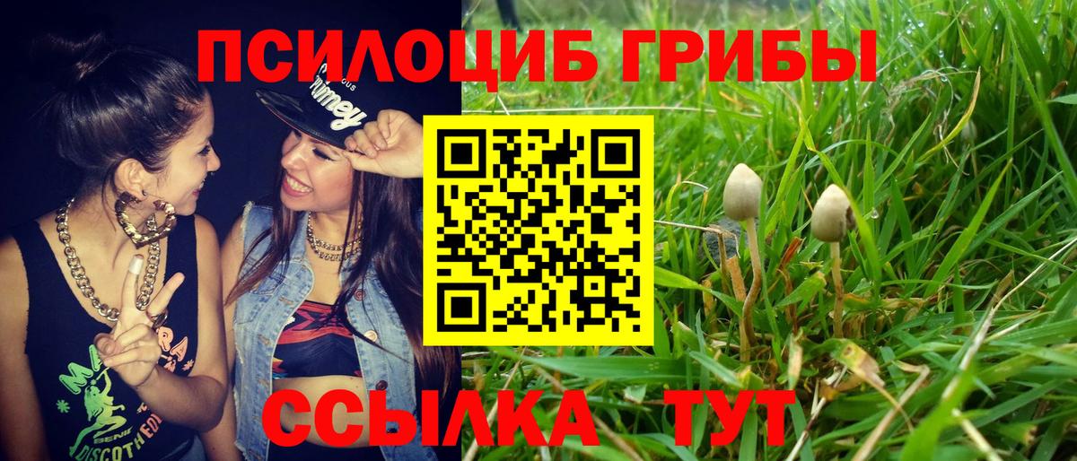 Галлюциногенные грибы Psilocybine cubensis  Вход с VPN  Коммунар 
